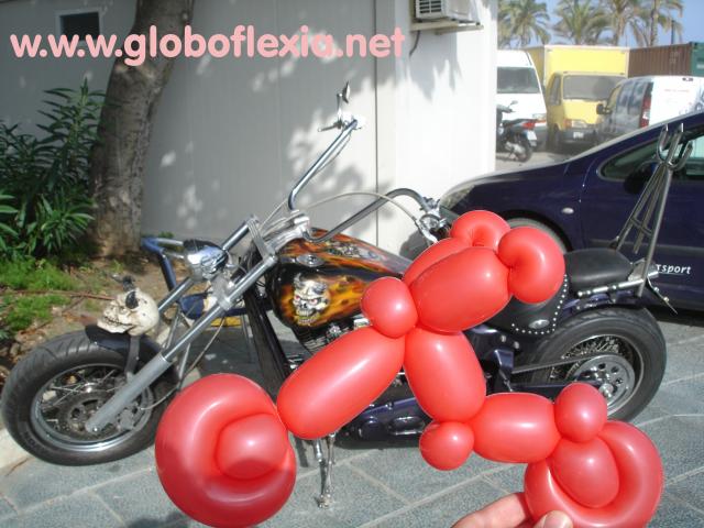 globos globos